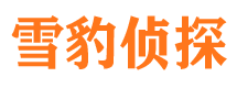 晋安市私家侦探